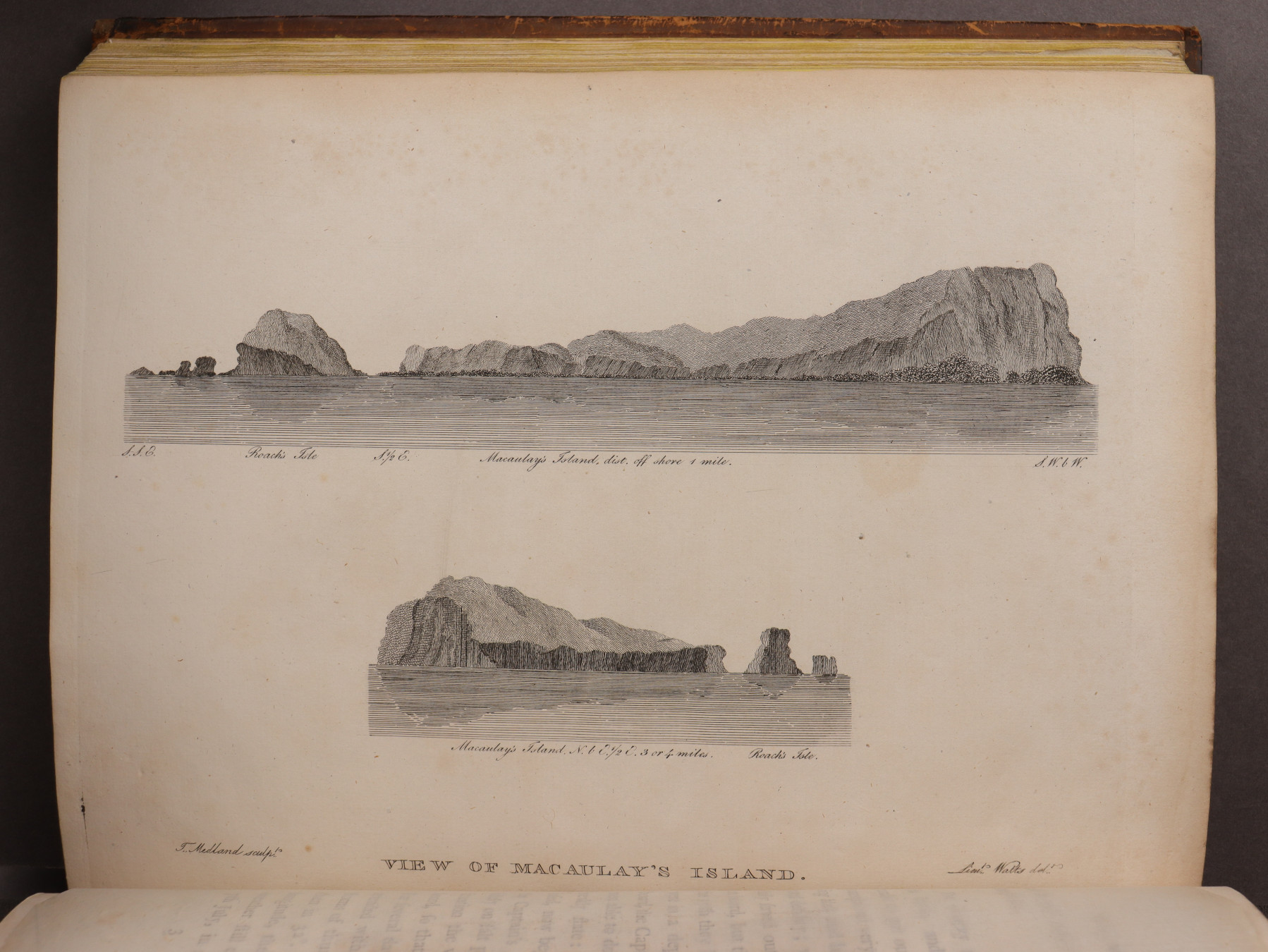 Plate 37
